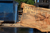 Silver Maple Slab 071921-09