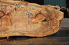 Silver Maple Slab 071921-09