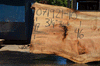 Silver Maple Slab 071921-10
