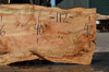 Silver Maple Slab 071921-10