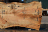 Silver Maple Slab 071921-11