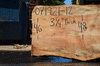 Silver Maple Slab 071921-12