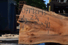 Silver Maple Slab 071921-13