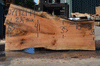 Silver Maple Slab 071921-14