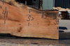 Silver Maple Slab 071921-14