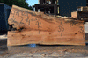 Silver Maple Slab 071921-15