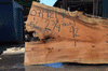 Silver Maple Slab 071921-15