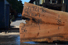 Silver Maple Slab 071921-16