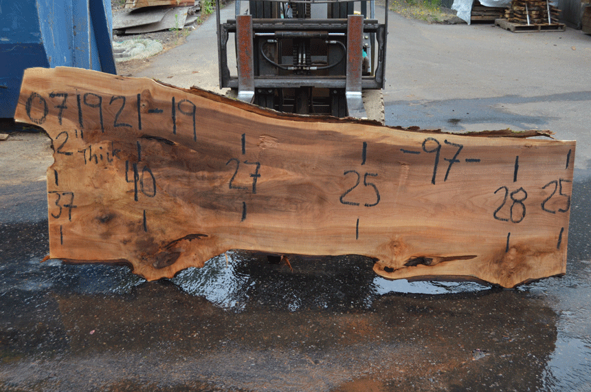 Silver Maple Slab 071921-19