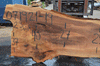 Silver Maple Slab 071921-19
