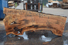 Silver Maple Slab 071921-20