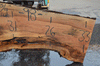 Silver Maple Slab 071921-20