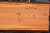 072419-06 Oregon Fir Slab