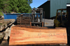 072419-12 Oregon Fir Slab