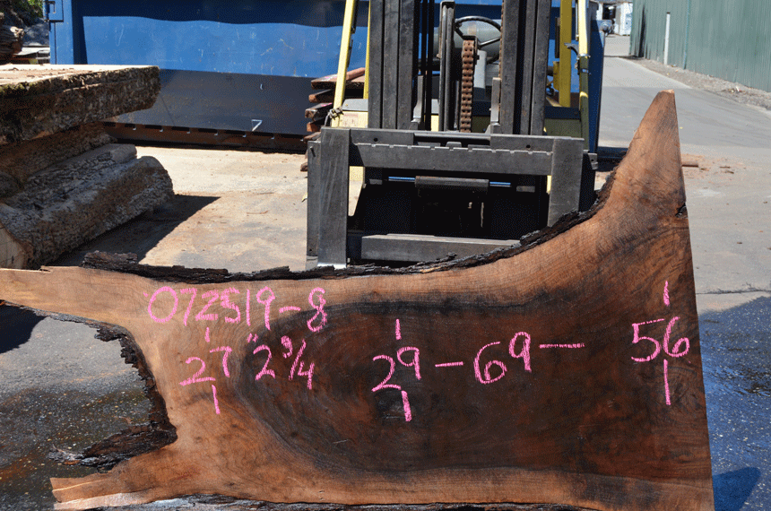 072519-08 Oregon Black Walnut