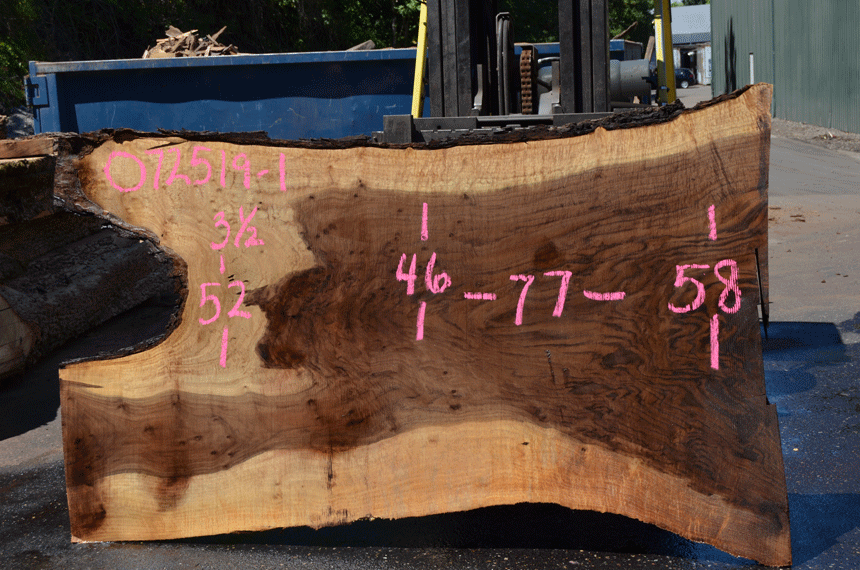 072619-01 Oregon Black Walnut