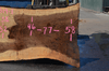072619-01 Oregon Black Walnut