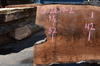 072619-02 Oregon Black Walnut
