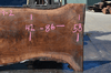 072619-02 Oregon Black Walnut