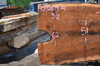 072619-04 Oregon Black Walnut