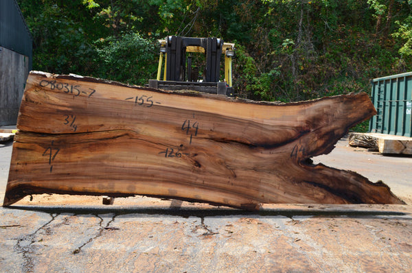 Elm Slab 080315-07
