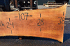 Sycamore Slab 081621-01