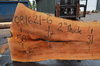 Sycamore Slab 081621-06