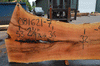 Sycamore Slab 081621-07