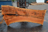 Sycamore Slab 081621-08
