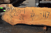 Sycamore Slab 090120-01