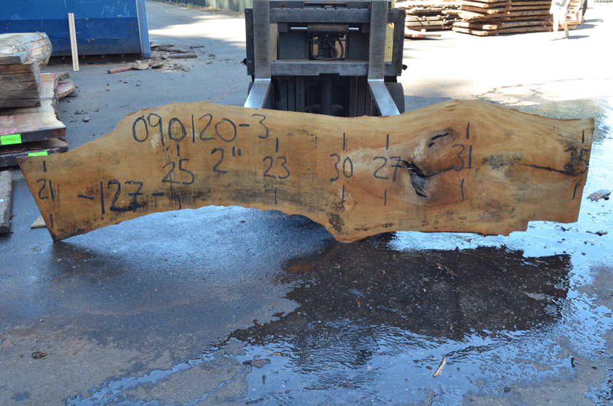 Sycamore Slab 090120-03
