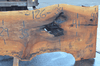 Sycamore Slab 090120-04