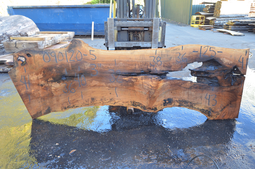Sycamore Slab 090120-05