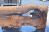 Sycamore Slab 090120-05