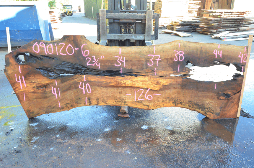 Sycamore Slab 090120-06