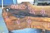 Sycamore Slab 090120-06
