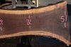 Oregon Black Walnut Slab 090820-02
