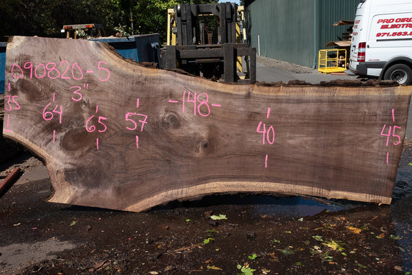 Oregon Black Walnut Slab 090820-05