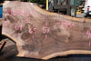 Oregon Black Walnut Slab 090820-05