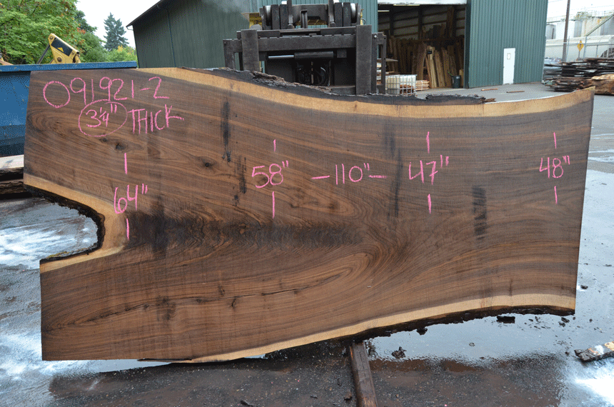 Oregon Black Walnut Slab 091921-02