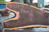 Oregon Black Walnut Slab 091921-03