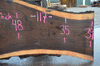 Oregon Black Walnut Slab 091921-03