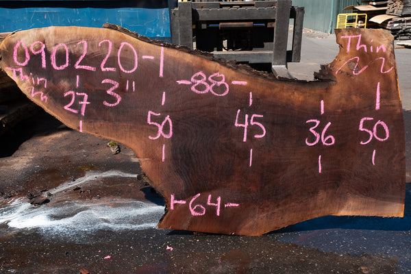 Oregon Black Walnut Slab 090220-01