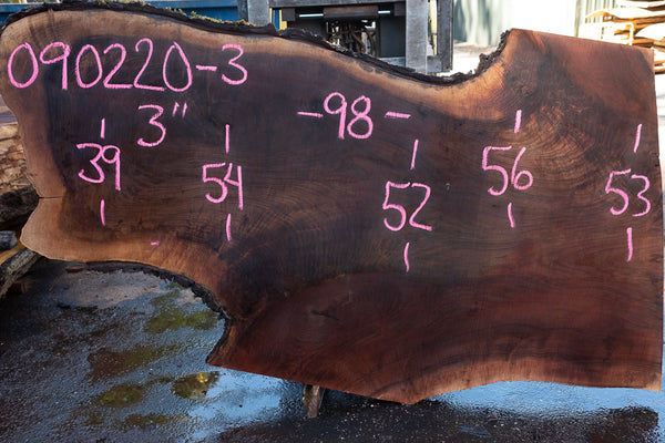 Oregon Black Walnut Slab 090220-03