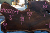 Oregon Black Walnut Slab 090220-07