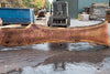 Oregon White Oak Slab 092120-03