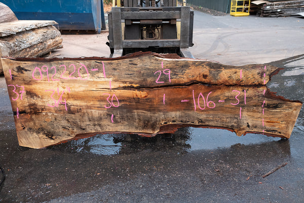 Oregon White Oak Slab 092220-01