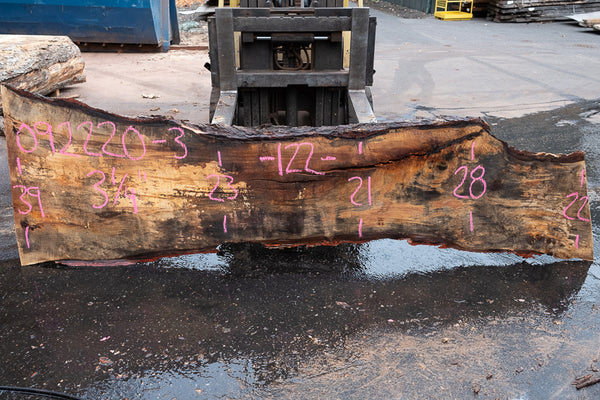 Oregon White Oak Slab 092220-03