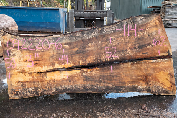 Oregon White Oak Slab 092220-06