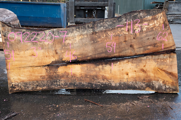 Oregon White Oak Slab 092220-07